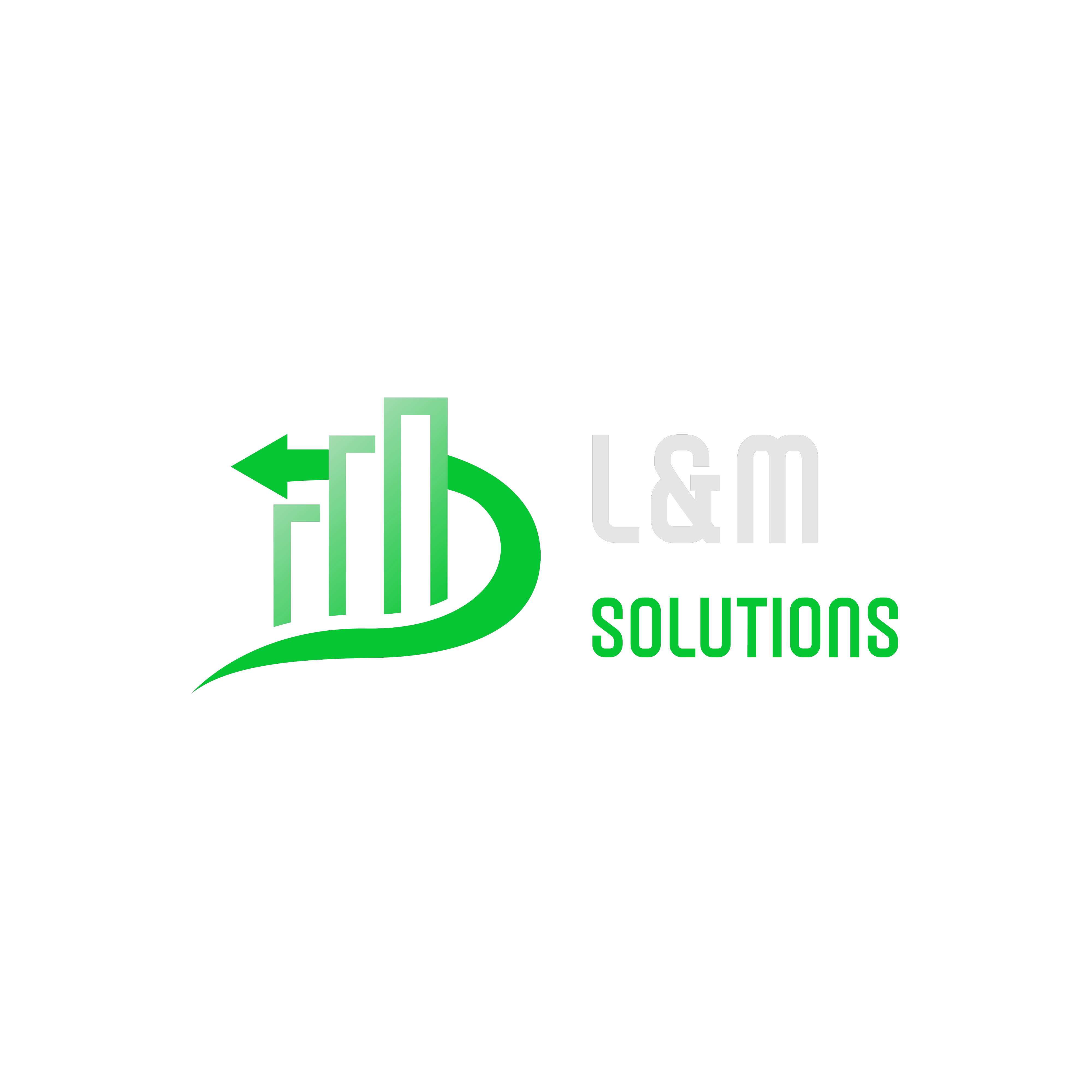 L&M Solutions Logo